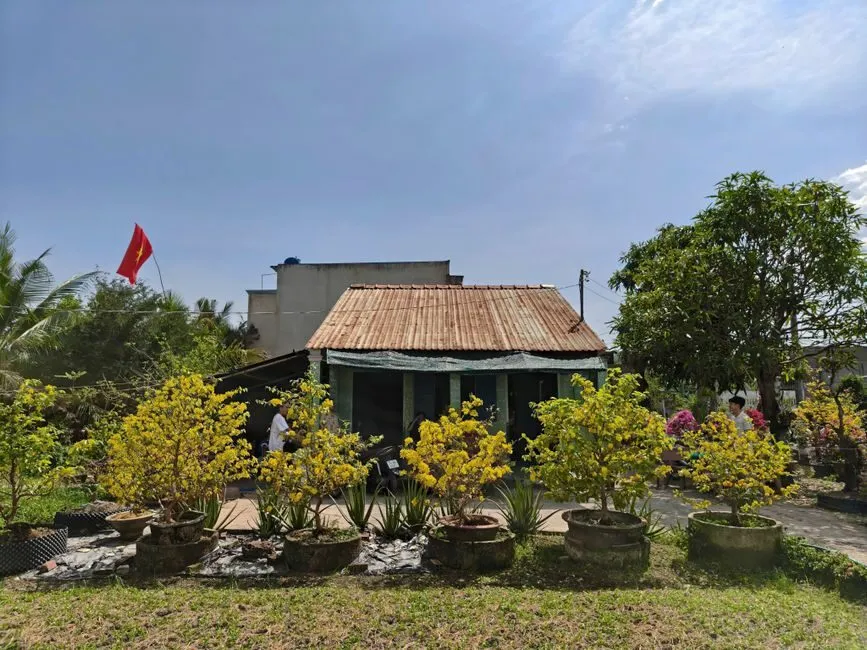 Mẫu mái tôn chống nóng đẹp cho nhà phố